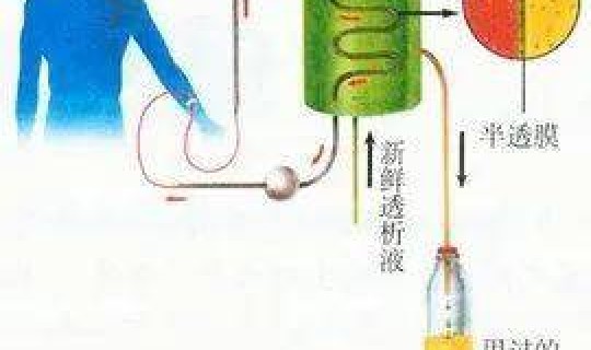 让别人代替自己做核酸，查出替别人做核酸