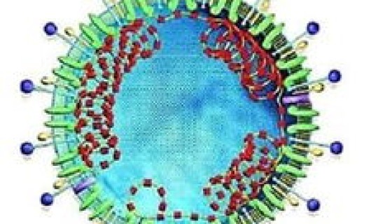 美国感染新型冠状病毒最新消息 冠状病毒怎么来的