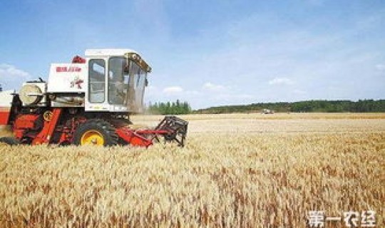 辽宁新增1.1亿公斤粮食产能(粮食产能是什么意思)