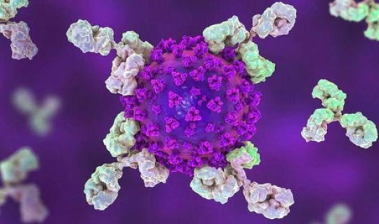 石家庄的新冠病毒现在有多少例，武汉新型冠状病毒