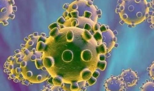 又增34人感染？人冠状病毒感染传播途径