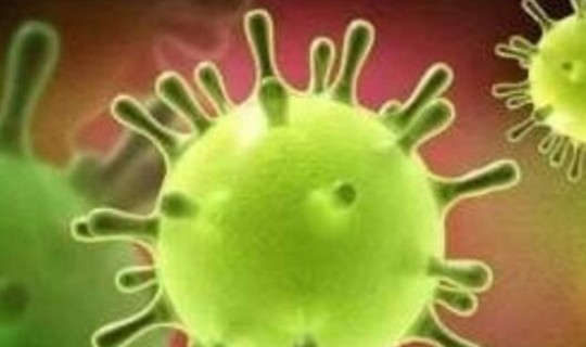 新型冠状新增？最新型冠状病毒叫什么