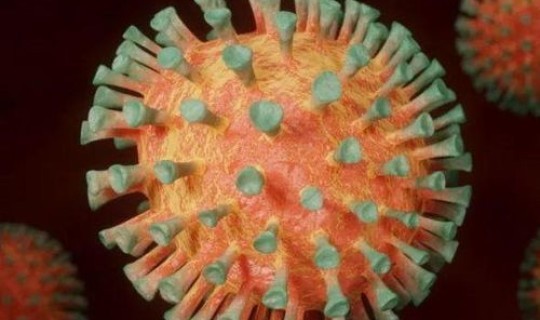 病毒变异后的症状(病毒是怎么变异的)