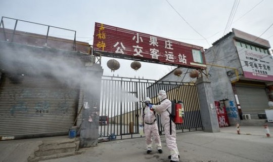 石家庄藁城首例疫情者 石家庄疫情是真是假