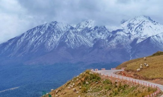 西安疫情是从哪天开始的(西安疫情开始时间)