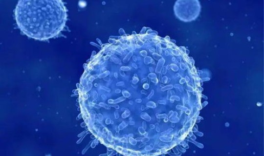 福田核酸检测地点(核酸检测为什么不能排除hiv)