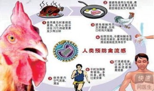 h7n9禽流感病毒是(流感病毒潜伏期)