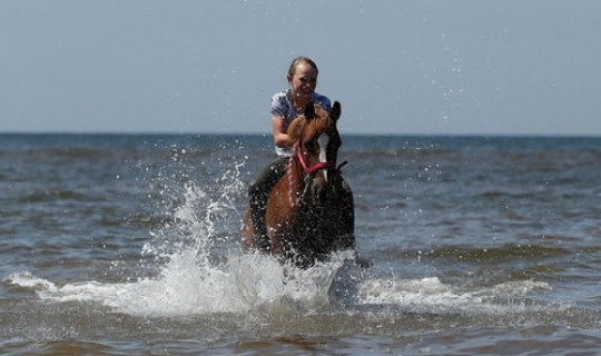 莆田今天的疫情？各地疫情情况
