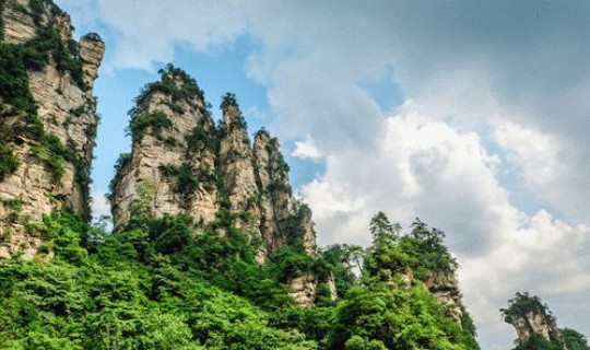 张家界疫情是什么引起的 2021张家界疫情什么时候开始的