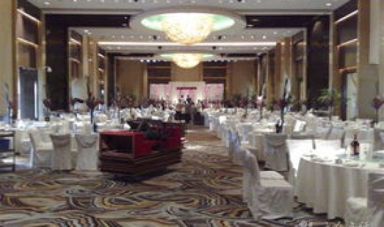 上海德尔塔酒店官网，上海阿纳迪酒店和宝山德尔塔婚宴酒店哪个好一点