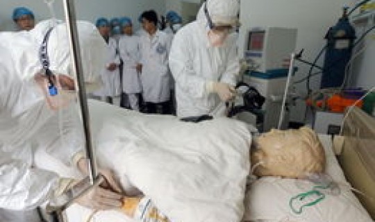 四川禽流感最新消息2017(2017禽流感中国死了多少人)