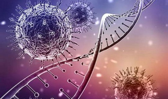 德尔塔毒株的名称由来和历史，德尔塔毒株最早在哪里发现