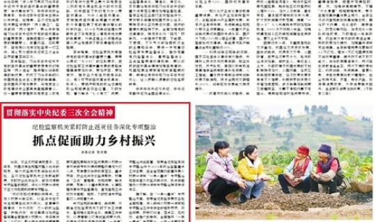 近期纪检监察专项整治，党风廉政建设六项专项整治指什么