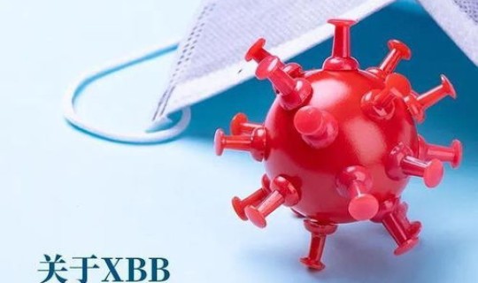 2020年疫情高峰期在几月份，疫情时间是几月几日开始的