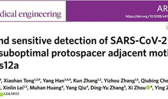 武汉核酸检测结果几天有效啊，核酸出结果一般几个小时