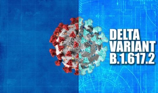 新冠病毒变异毒株德尔塔delta(新冠delta变异毒株的特点) 新冠病毒变异毒株德尔塔delta(新冠delta变异毒株的特点)