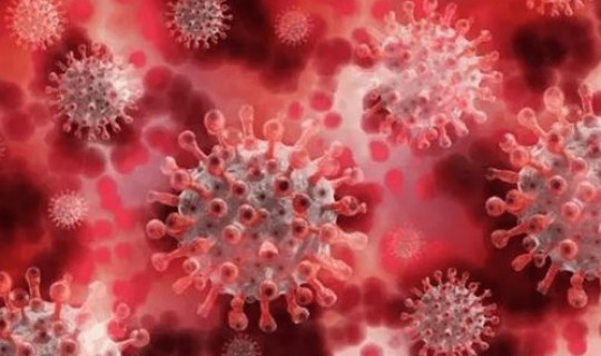 新冠病毒是否与人类共存呢？新冠病毒可能将与人类长期共存