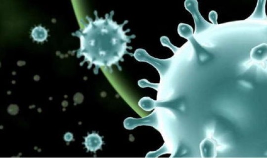 新型冠状病毒变异毒株德尔塔区别 新型冠状病毒是什么病毒类型