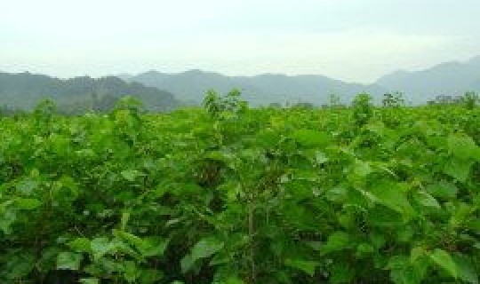 绍兴上虞的天气气温？绍兴天气预报40天