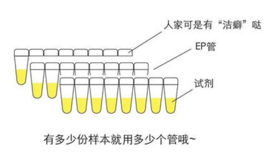 核酸检测操作步骤，核酸检测是什么意思