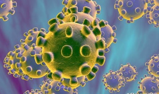 广州花都新冠病毒最新消息，人冠状病毒感染传播途径