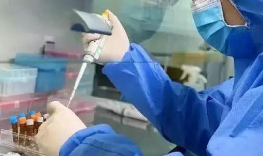 上海核酸检测人数增加的原因，hiv核酸检测准确率