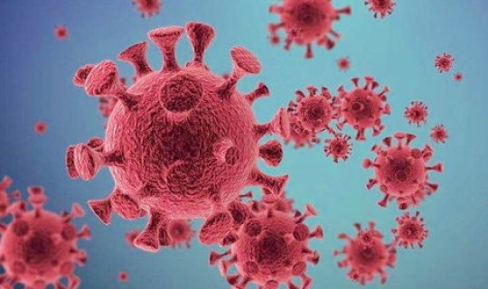 毒株新冠病毒症状早期表现 冠形病毒