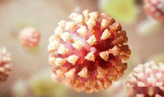 新冠病毒会不会与人类共存呢 ，新冠病毒还存在吗