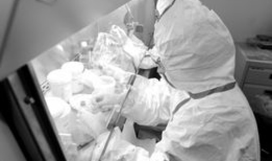 北京感染情况(最近北京的传染病)