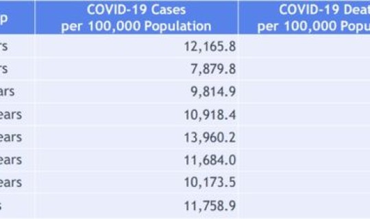 新冠病毒死亡数量 新冠感染了多少人