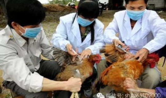 苏州疫情新增情况，苏州流感疫情