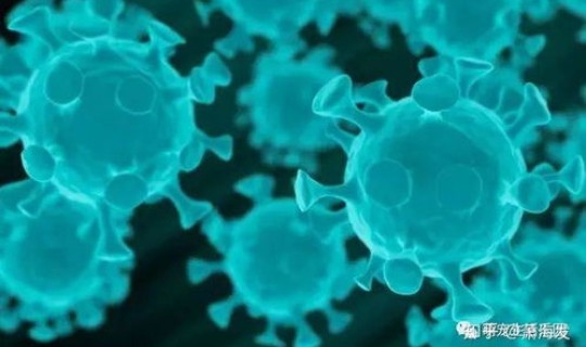 萍乡新冠病毒最新消息(冠状病毒感染怎么治疗)