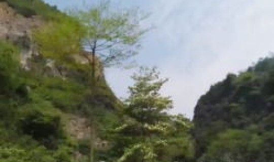 葛仙山风景区票价查询 彭州葛仙山门票