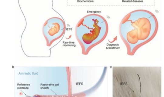 核酸检测传播几率大吗(核酸检测hiv有没有意义)