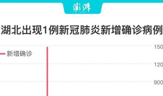 武汉新冠病毒人数统计表？新冠肺炎确诊人数