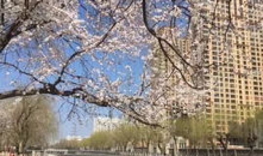 石家庄封闭了 石家庄能去吗现在最新