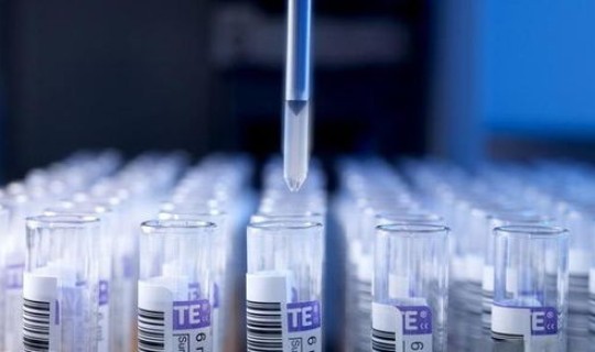 北京市疫情最新情况最新消息？印度尼帕病毒最新消息