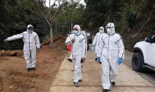 莆田疫情是哪里，莆田疫情是从什么时候开始的