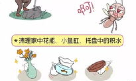 登革热的诊断标准和治疗原则 登革热能治好吗