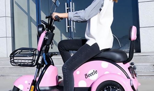 北京国标三轮车？新国标电动三轮车目录