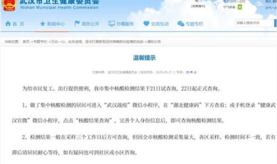 武汉核酸检测报告多久出结果(武汉哪里核酸检测最快出结果)