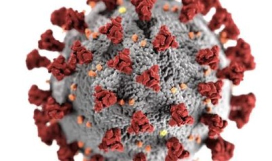 北京哪里出现新冠病毒最多 新冠形病毒的症状