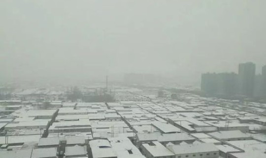 菏泽这几天会下雪吗 菏泽雪景