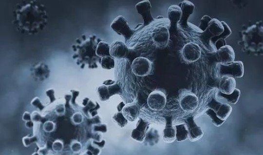 辽宁朝阳新型冠状病毒？冠状病毒有哪些