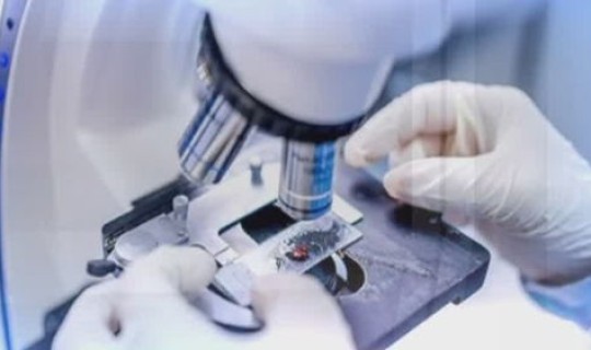 日本病毒感染的动漫(病毒感染过程)