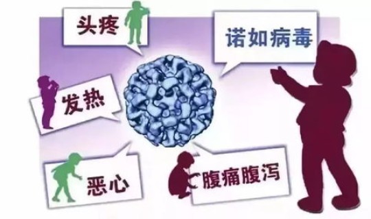 郑州本轮疫情累计多少例(诺如病毒多少例为疫情)