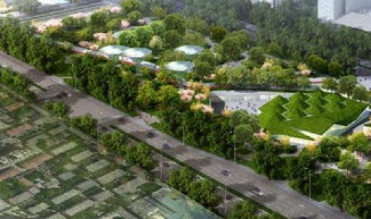 青岛城市绿化树种有哪些品种(青岛花卉市场在哪里)