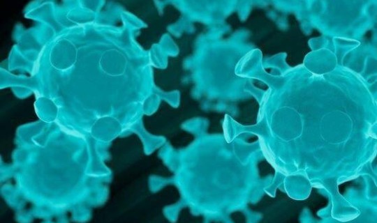 山东一例德尔塔病毒，中国有马尔堡病毒吗