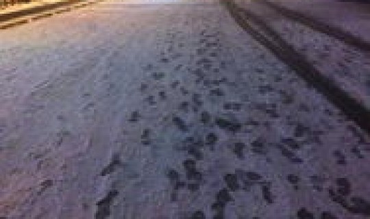 黑龙江突发大暴雨 黑龙江迎来一次较大降雪过程