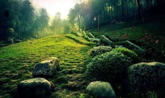 返景入深林？返景的意思